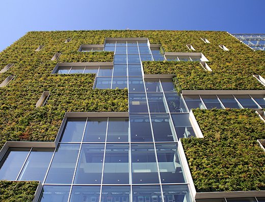 Into Green tweet media