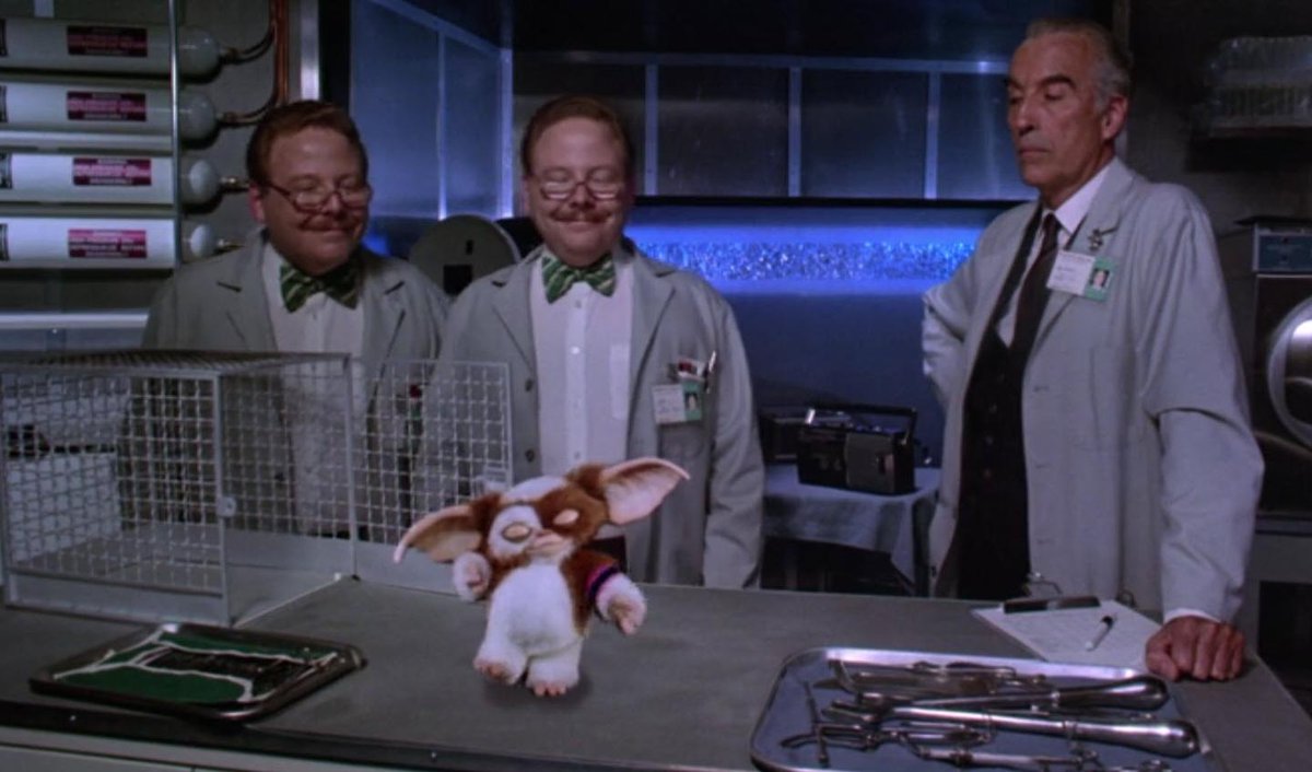 VICE's tweet photo. Does ‘Gremlins 2’ actually suck? https://t.co/8NsdHx0yFo https://t.co/z14Qpovtiv