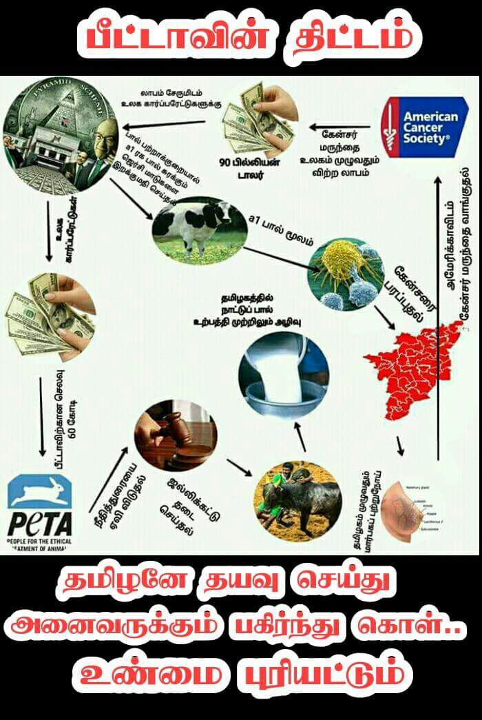 KollywoodCinima's tweet photo. பீட்டாவின் திட்டம்.  தமிழினமே தயவு செய்து அனைவருக்கும் பகிர்ந்து கொள். உண்மையான புரட்சியாகட்டும் #BanPeta #JusticeforJallikattu #jallikattu https://t.co/WnbBldElO1
