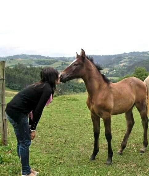 paaaulacorte's tweet photo. #zapeando787 amorEquino!
@f_moreno84 https://t.co/QWFiBdbzla