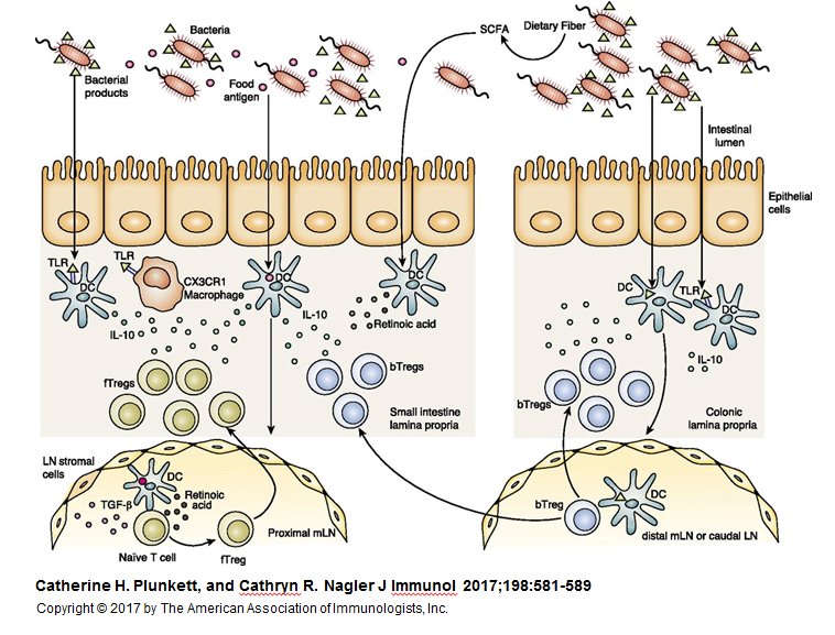 The Journal of Immunology tweet media