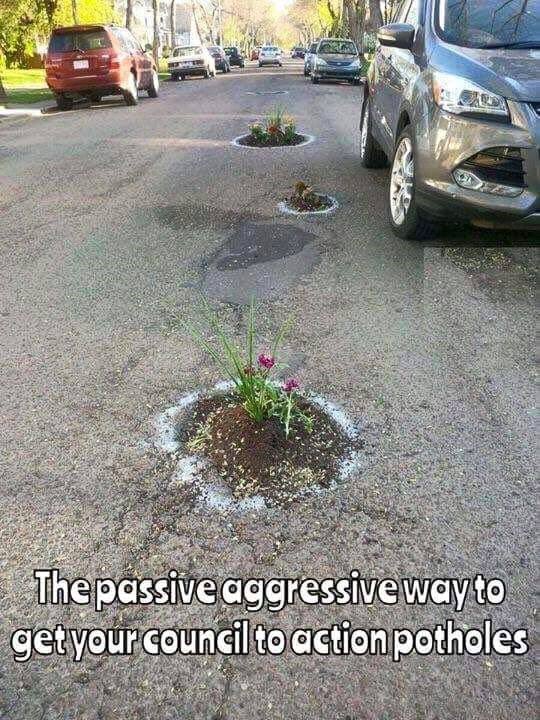 mdue_masuku's tweet photo. @advocatemahere peaceful ways of demonstrating #thisflower https://t.co/5akltIxwn4
