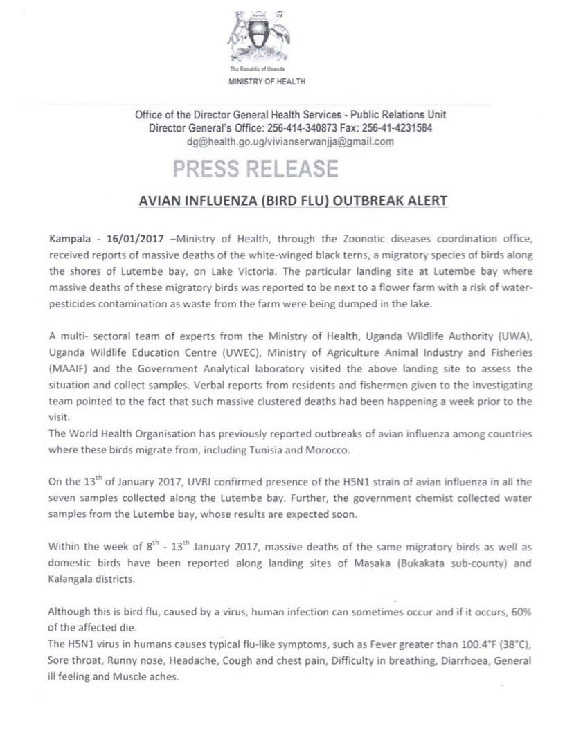 Nanyingi Mark 🏀⛹️♂️🚴 tweet media