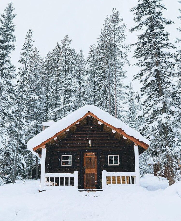 getlostinforest's tweet photo. Beautiful cabin in Alberta🌲❄️ https://t.co/cai5lhvX3N