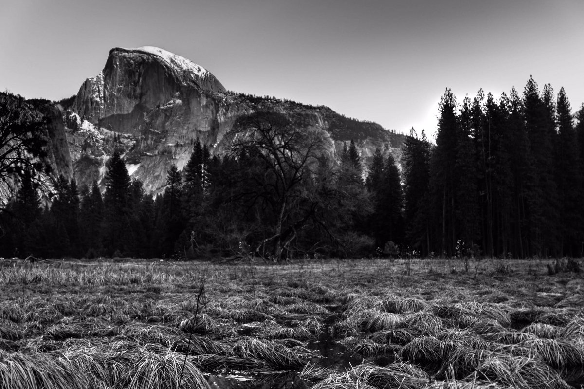 “Thousands of nerve-shaken, over-civilized people are beginning to find out that going to the mountains is going home.” #JohnMuir #yosemite