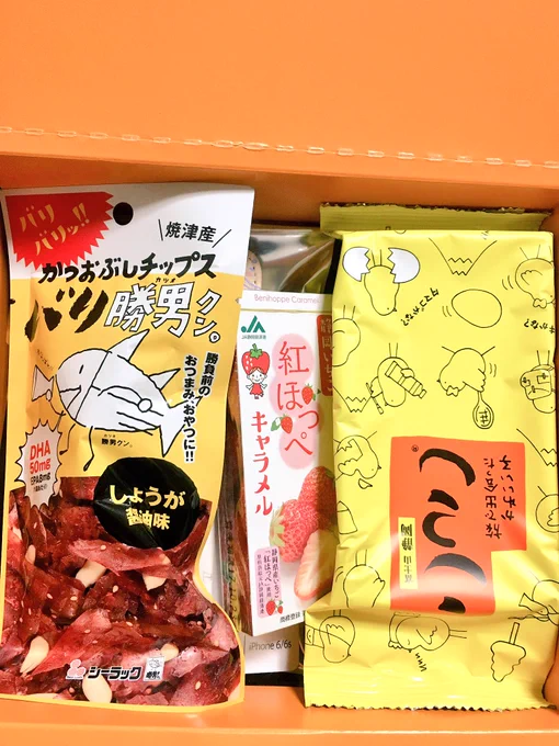 落ち着いてきたから自慢するぞ～～～!!!見てくれ～～～!!!しろちゃんから～～～!!!めっっっっちゃ可愛いiPhoneケースが……ヽ(;▽;)ノありがとう;;;;めっちゃありがとう;;; 