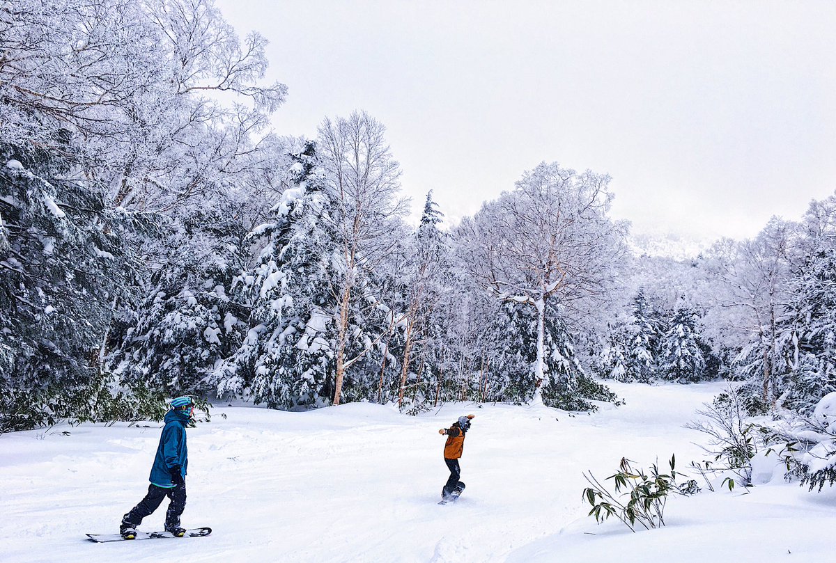 草 Sur Twitter スキー場 志賀高原 東館山スキー場 林間コース スキー スノーボード 山 雪 木 冬 Japan Nagano Shigakogen Higashitateyama Ski Snowboard Mountains Snow Winter T Co Frcmpehnmc 草 Sur Twitter スキー場 志賀高原 東館山スキー場 林間コース スキー スノーボード 山 雪 木 冬 Japan Nagano Shigakogen Higashitateyama Ski Snowboard Mountains Snow Winter T Co Frcmpehnmc