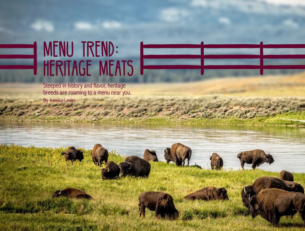 Steeped in history and flavor, heritage breeds are roaming to a menu near you. Article by <a href="/amelialevin/">Amelia Levin</a> for Sizzle: ow.ly/ilxB307nXqH