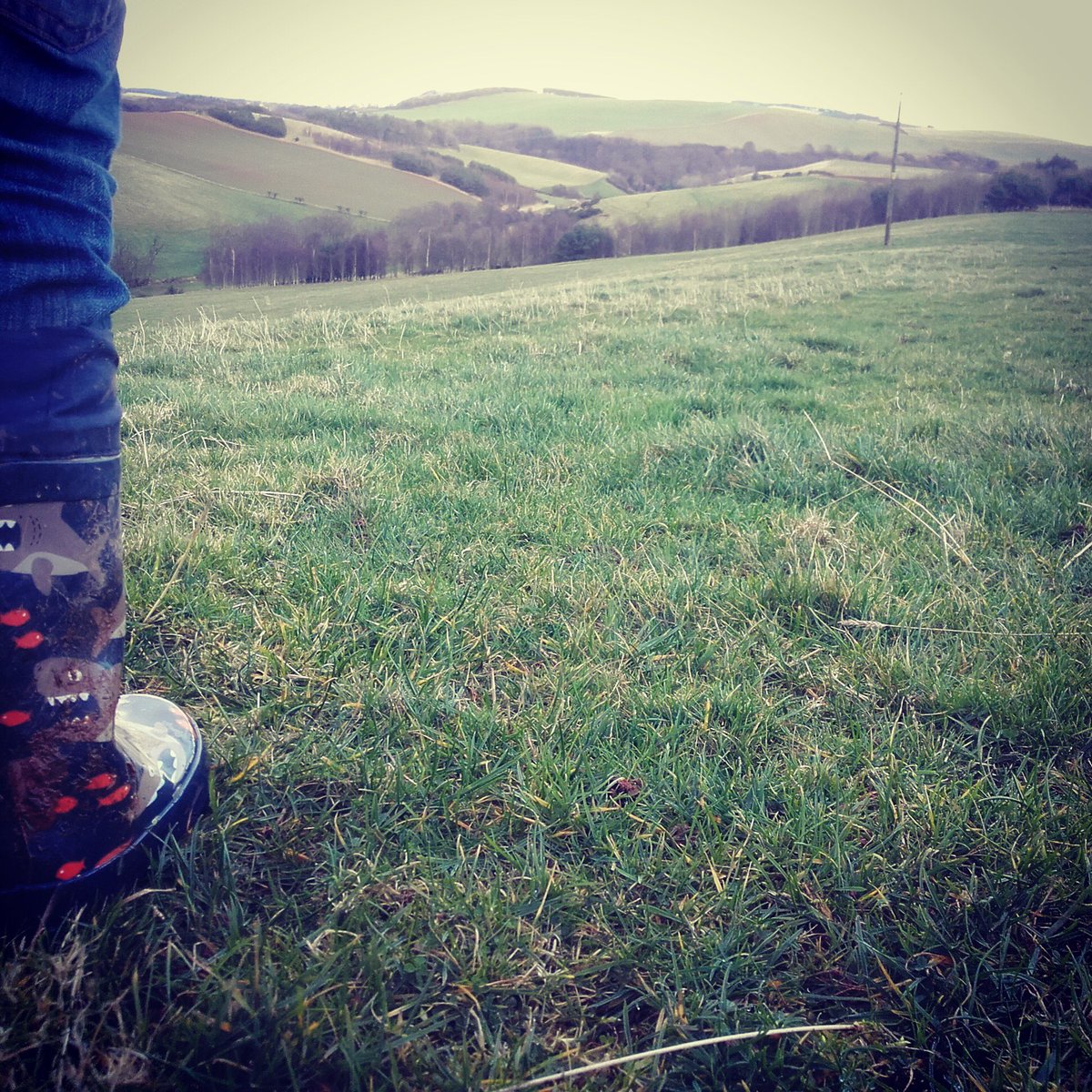 weerabbitjack's tweet photo. Muddy winter walks #eastlothian #Countryside #winter #wellies #Scotland https://t.co/l7872Z98pa