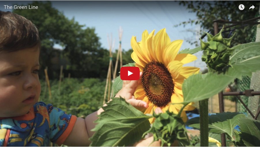 Park_People's tweet image. A big, fabulous step forward for new linear park in Toronto #GreenLineTO Huge thx to @CMartinsMPP for support ow.ly/DZZh307YCGj