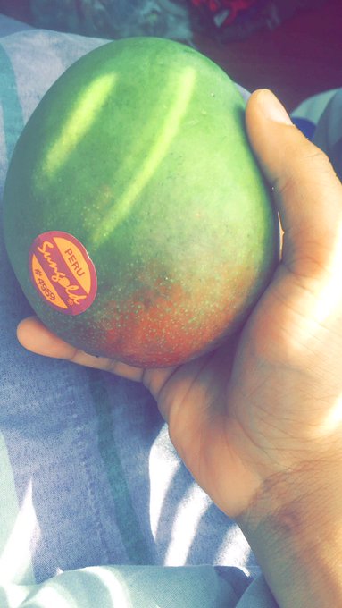 #mango morning https://t.co/yJGJqRxxeg<a href="/tag/mango"class="tags">#mango</a>