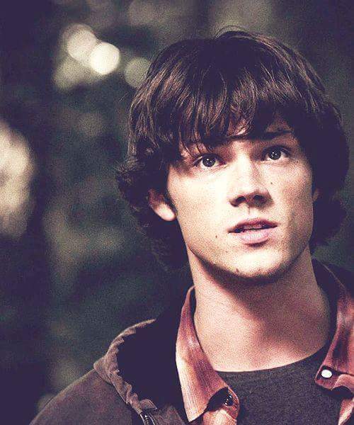 Sam Winchester. (@zealousmoose) on Twitter photo 