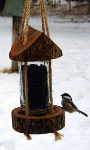 Bird Feeder Hashtag On Twitter