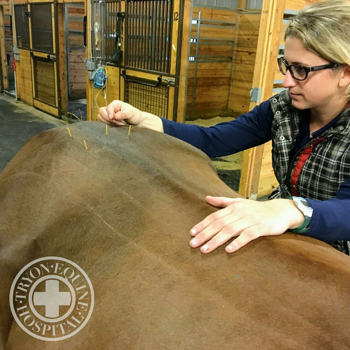 TryonEquine's tweet image. Congratulations to Dr. Rachel Stellini for passing her acupuncture finals for her certification!