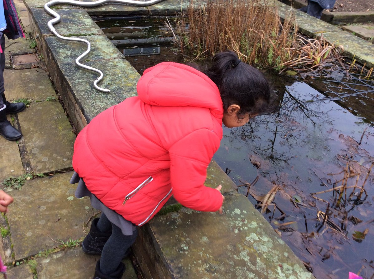 meynellyear1's tweet photo. We found a bog baby hiding in the trees when we went hunting! We will be doing a lot of writing about him! https://t.co/LnEN6puAqS