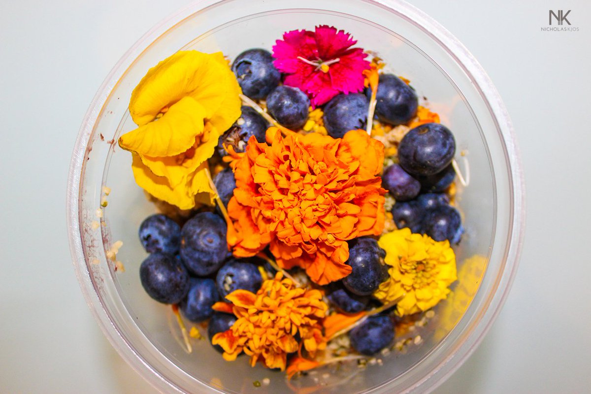 NicholasKjos's tweet photo. Lavender bowl bliss from @riseupsatx! #EdibleArt #OnlyInSA https://t.co/LM32FXsVX9