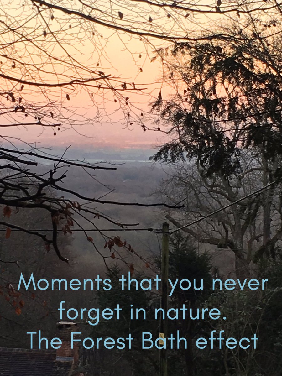 lucksyard's tweet photo. What can be better than a forest π³ bath experience? #thegoodlifeproject, #dopamineeffect https://t.co/fa68M3RNhc