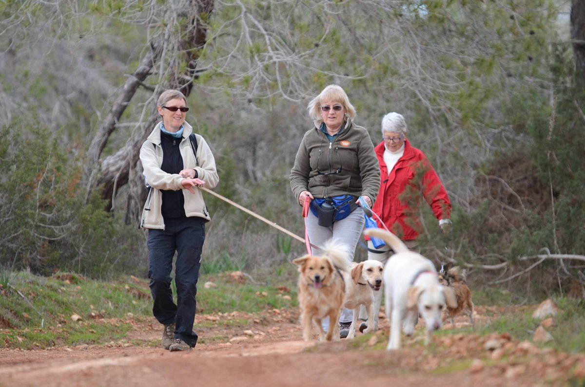 PetSpotPro's tweet photo. The next #dogwalk #event will be held on the 26th of February. For more information, sign up: https://t.co/c5yUBPVtlE
#cyprus #paphos #dog https://t.co/qcRwqjo3XD