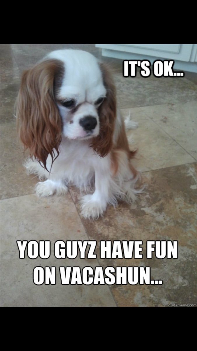 United Vacations Int tweet media