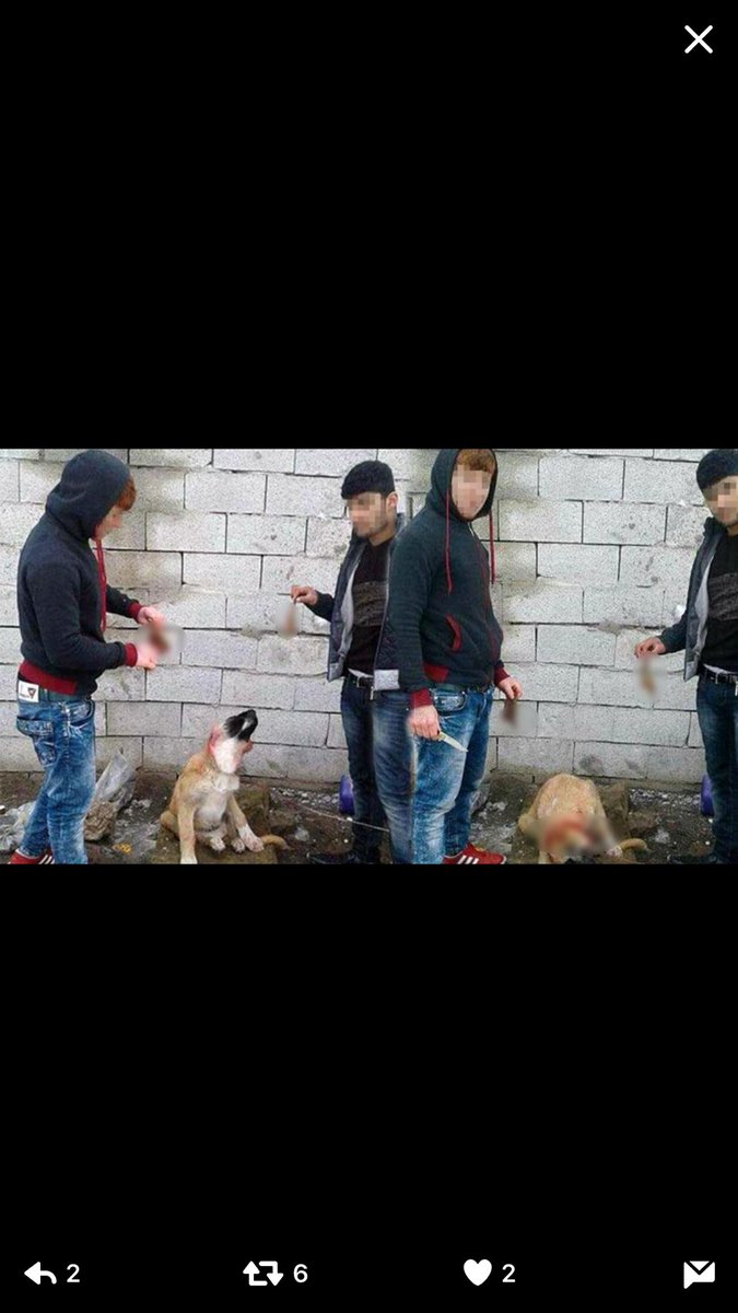 Az önce cumhurbaşkanımız bu ülkede hiçbir suç cezası kalmayacak dedi.Ve bu sadistler serbest bırakıldı.Sesimizi duyun artık. Lütfen.