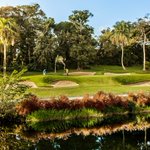 Image for the Tweet beginning: Vote @TPCDoradoBeach as "Best Caribbean