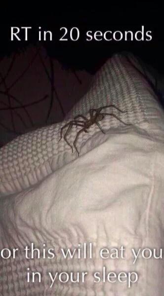 UffRafa7u7's tweet image. Alv': RT🔄 O En Los Siguientes 20 Segundos Te Aparecera Una✅ :'v