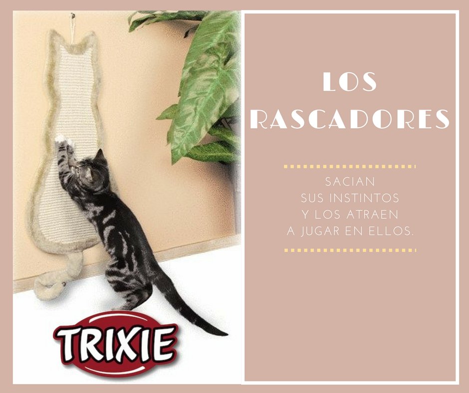TrixieMexico's tweet photo. Esta es una forma de proteger tus muebles o alfombras del hogar. #RascadorParaGatos #SeguroParaMuebles #CatLover #ParaMascotasEjemplares https://t.co/eK3gi2Bpyj