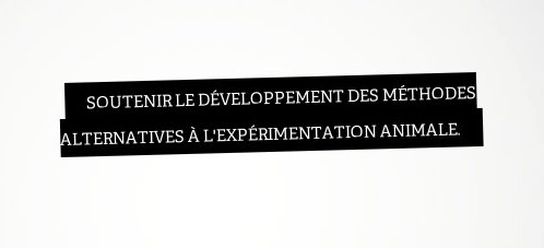 EelvAnimaux's tweet photo. Proposition de la commission condition animale @EELV au programme Présidentiel de @yjadot #CAuProgramme #AvecJadot https://t.co/oQzzcBHOd3