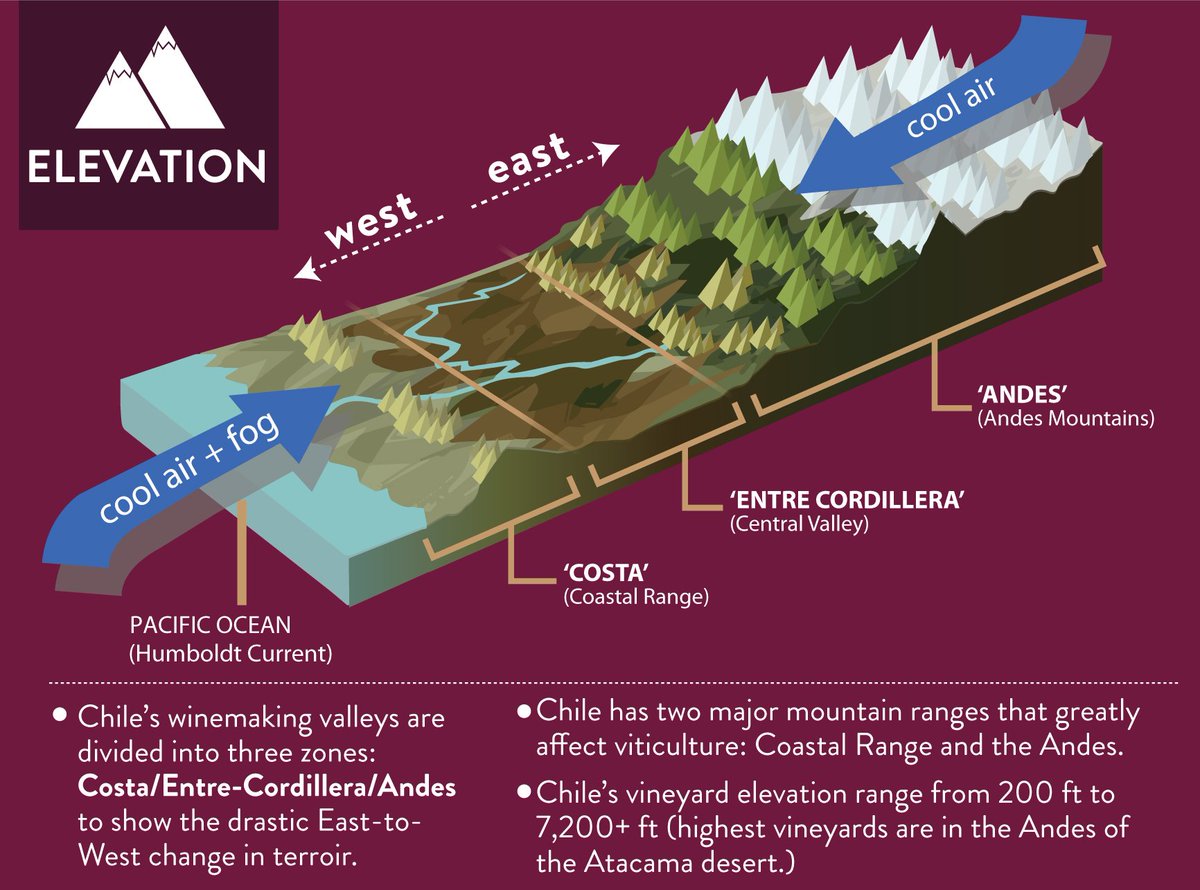 Chile's vineyard elevation ranges from 200 ft to 7,200+ ft! View the full Chilean 101 Infographic on our website: bit.ly/2j5O4vb