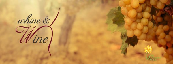 #Parents, Host a Whine &amp; Wine to gain new #parentingtips &amp; have fun w/ friends! ow.ly/Lg6JF