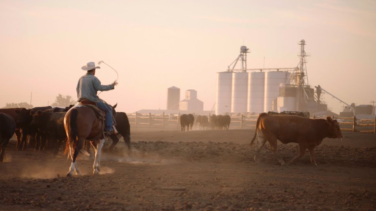 Adweek's tweet image. How CNN's branded-content studio and Modelo celebrated diversity in the American heartland: adweek.it/2jZ1r4o