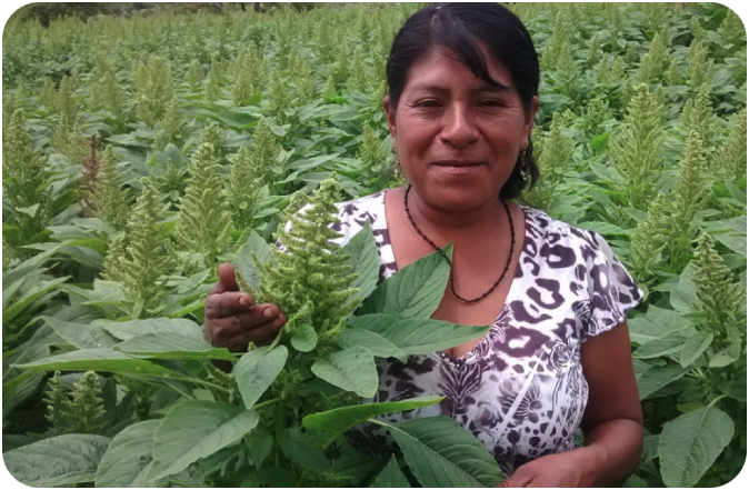 Economía social solidaria: busca impulsar una economía cooperativa, rescatar los valores comunitarios y la conciencia del otro. #SiEsPosible