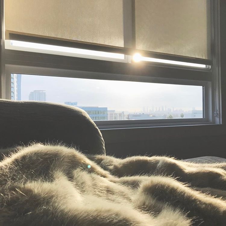 MAGCONUpdates's tweet photo. Cameron Dallas via Instagram:
"Watched the sunrise 🌅 " https://t.co/d4d9jkuk0i