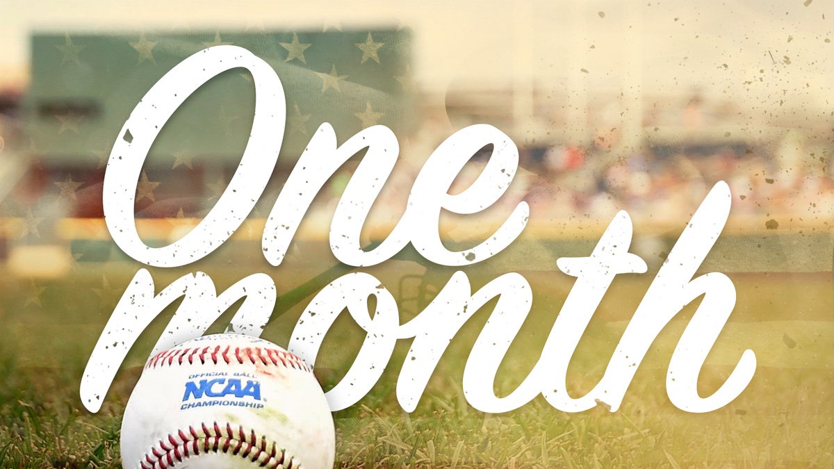 NCAABaseball's tweet photo. ONE. MONTH. AWAY.

Opening Day: February 17 https://t.co/HDqxk9Msib