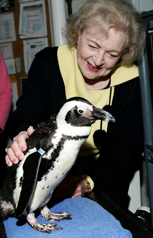 MontereyAq's tweet photo. Happy birthday to @BettyMWhite, who has supported our work for over 30 years! Thank you for being a dedicated voice for ocean life. https://t.co/IieR24ckRa