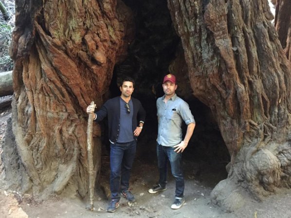 pivotmarketing's tweet photo. In honor of #tunneltree, here's a couple Pivoteers standing inside another massive California tree. #albumcover https://t.co/4cFEGpKz1i