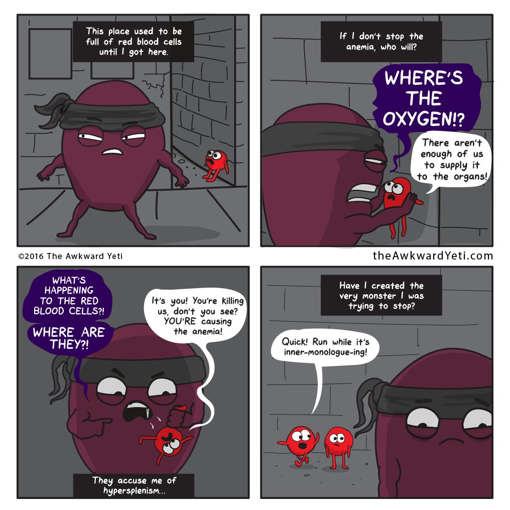 the Awkward Yeti (Nick Seluk) tweet media
