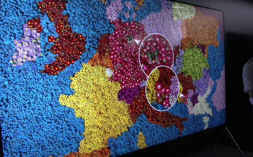 FernbachProd's tweet photo. Is the world ready for 8k TV? #TechnologyTuesday https://t.co/Vtm2tbZJml #CobaltStages #PawsVirtualSet https://t.co/dHzsAbrhJX