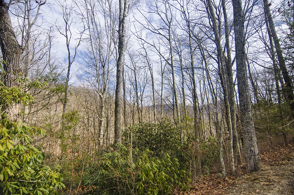 MountaintopClub's tweet photo. First time on the market! This LARGE lot for sale has easy access, is close to town, and what a view! Check it out!: https://t.co/rAlv80qwhp https://t.co/PSABbqfwni