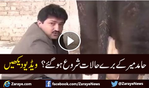 ZarayeNews's tweet photo. حامد میر کی بھینس کے ساتھ ویڈیو مںظر عام پر
ویڈیو دیکھنے کے لیے لنک پر کلک کریں: https://t.co/c81V2INwci
#HamidMir https://t.co/psanTX6rFY