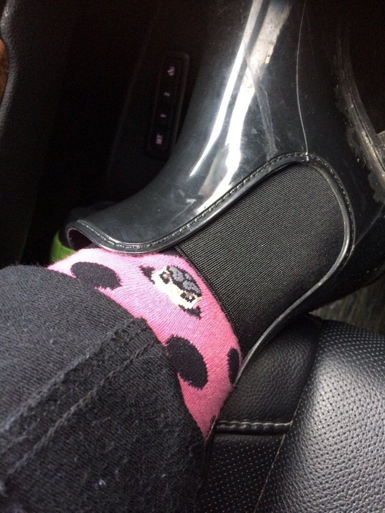 PapithePug's tweet image. Finally It's nice enough to wear my pug socks.