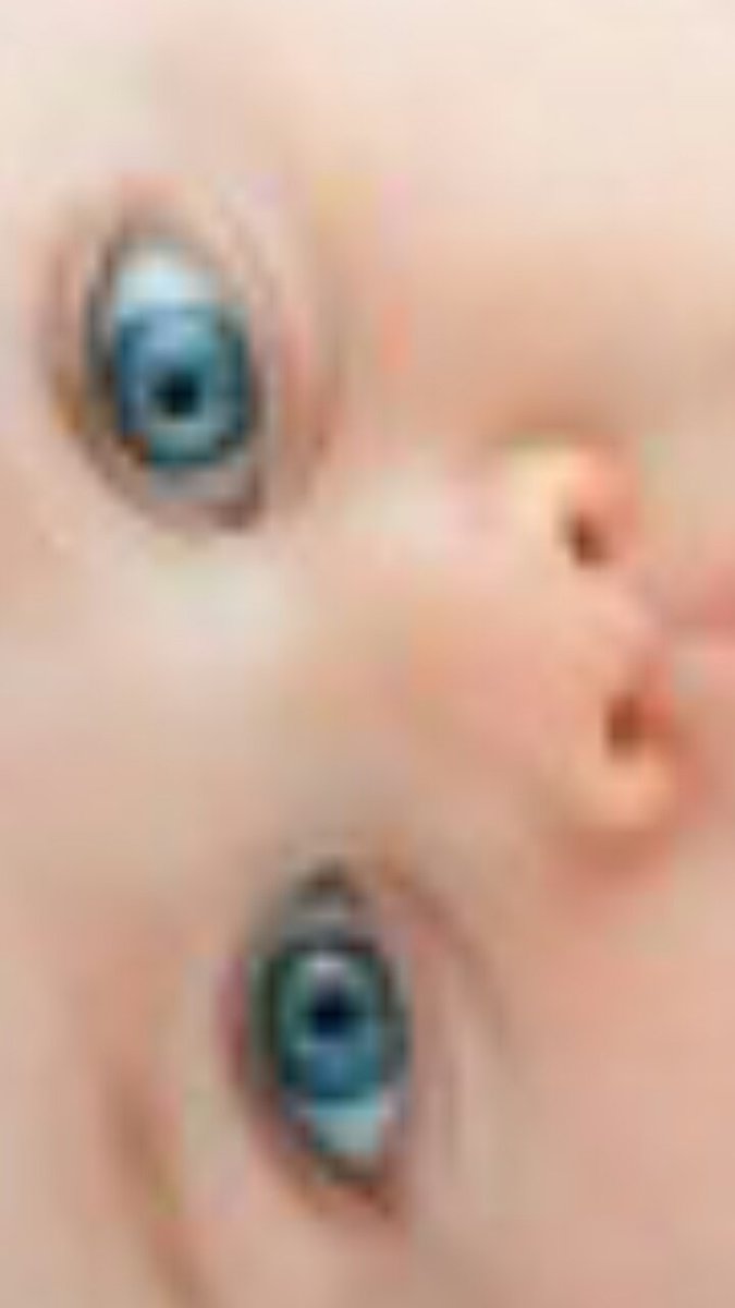 Goreth#sdv# (@goreth_camelo) on Twitter photo 