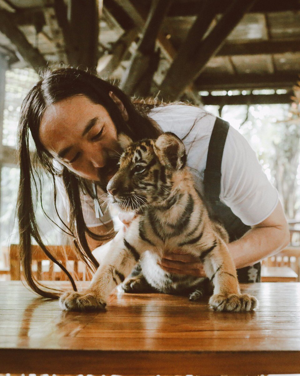 Kiss u now kill me later 🐯 https://t.co/Jbd7huFurs