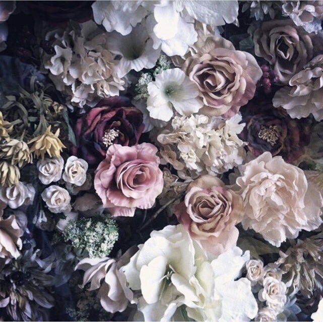 VanessaHudgens's tweet photo. 🌸🌺🌼🌷 https://t.co/wePOULKppg