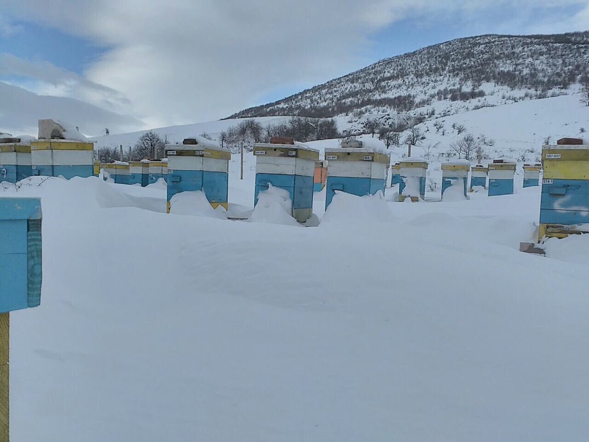 Literally snowed under - our beehives, good rest for the bees 🐝 this time of the year ❄🐝❄🐝