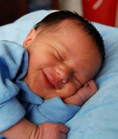 IndieMarine's tweet photo. Looks like someone's dreaming of that next big adventure. https://t.co/cxRlmlspc6