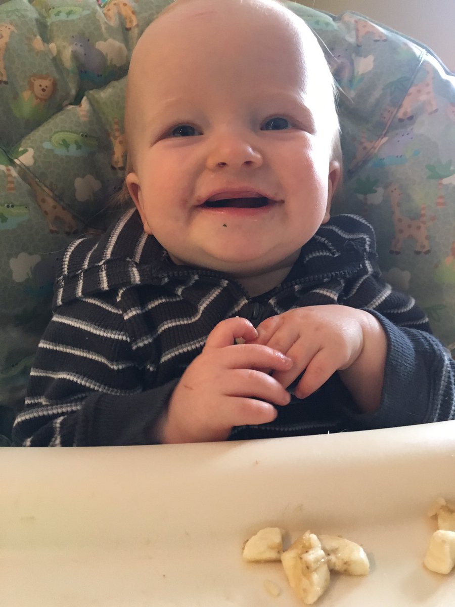 nloomis21's tweet photo. The cutest https://t.co/w8KTuiBemy