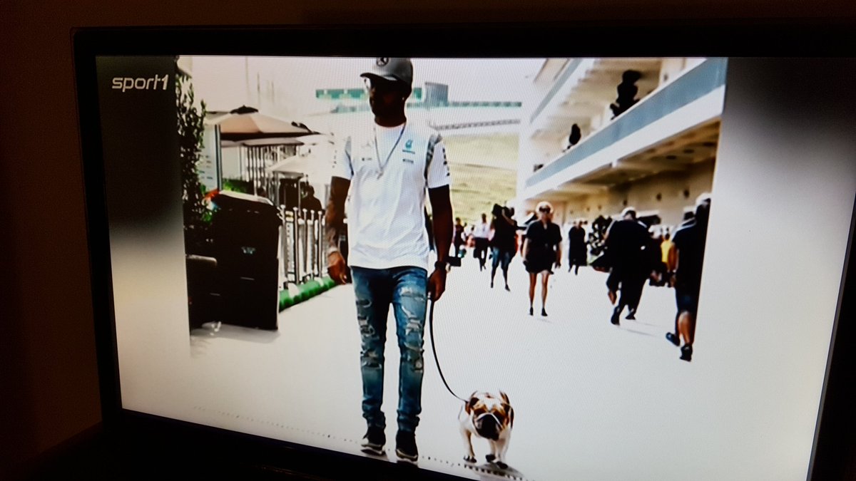 nicihood's tweet photo. .@HrsticIvo die Themenwahl heute @SPORT1 schreit nach nem süßen Büro-Hund 😉😜 #VIPLoge https://t.co/BV4BoDWBAr