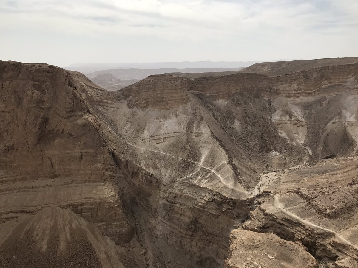 djcassandra_'s tweet photo. Rode a camel, camped in the #Negevdesert, hiked Mount #Masada, &amp; swam the #DeadSea within 24 hours. Thank you @birthright #israelfreespirit https://t.co/u7d6gvOTLw
