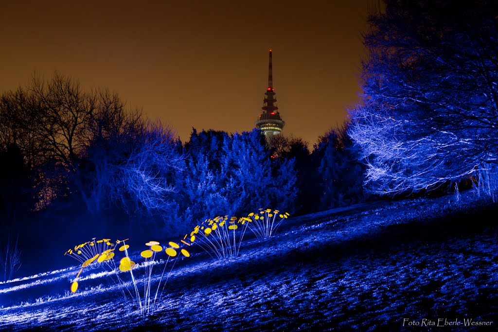 GeniusDesignInt's tweet image. Rule #1: In Winter, Accessorize your Garden. Discover #glowingsunflowers. At goo.gl/31P0uK